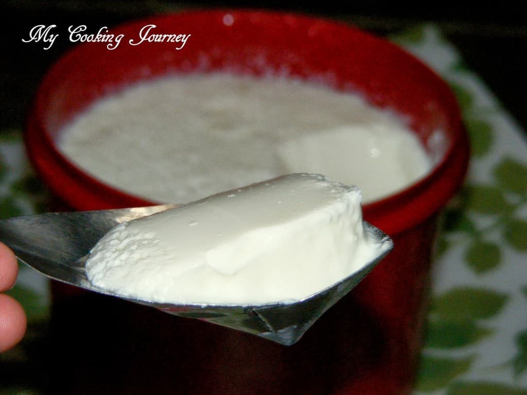 Dahi in a spoon