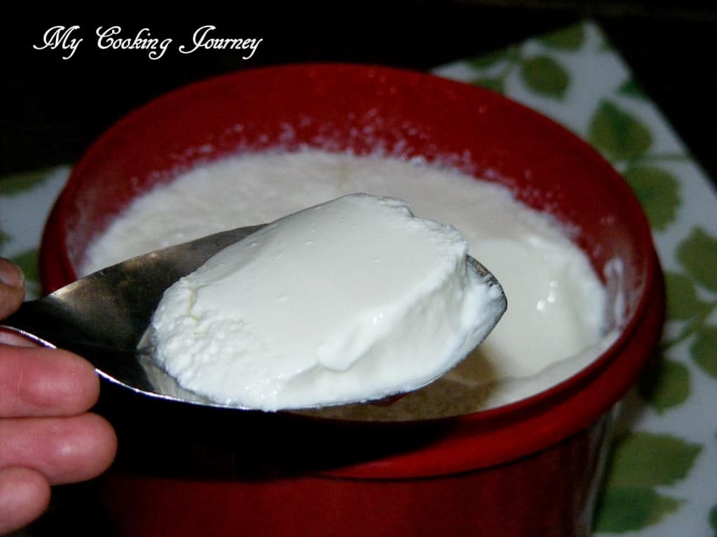 Thayir in a container and spoon